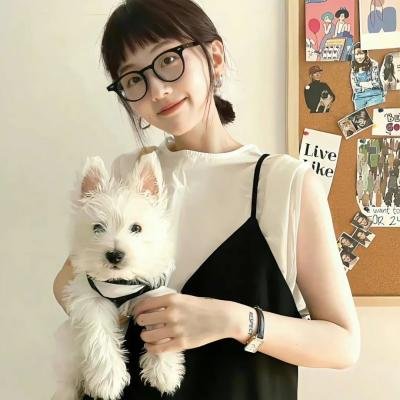 戴通纳之路