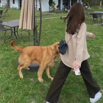 欢迎光临哈特曼一家